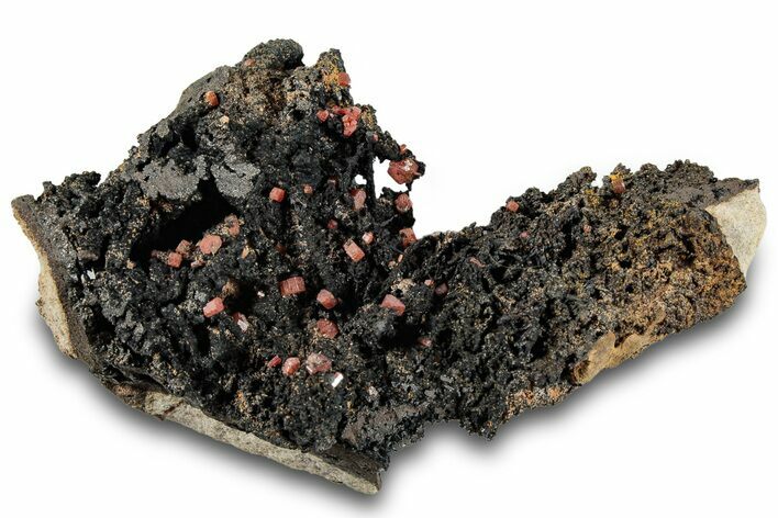Small Red Vanadinite Crystals on Manganese Oxide - Morocco #292895